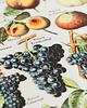 grafiki i ilustracje Grafika Fruits (reprint) 2