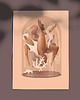 grafiki i ilustracje Ilustracja GRAVITY 1