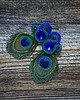 kolczyki soutache Peacock Eye-kolczyki soutache 1