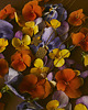 wisiory Rezerwacja- Kolekcja 70's - Happy daisy - Naszyjnik 2