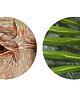 grafiki i ilustracje Jane 4
