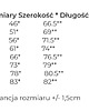 t-shirty męskie Koszulka PAN PIWKO 3