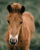 fotografia Fotografia kolekcjonerska "Bliki" 2