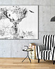 obrazy OBRAZ NA PŁÓTNIE 120x80cm JELEŃ W SZAROŚCIACH 1