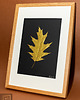 Ozdoby na ścianę Złoty Liść Dębu. Obraz Botaniczny. Drewniana Ramka Dąb 20x30cm 4