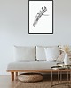 plakaty Plakat Botaniczny 1