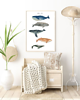 plakaty PLAKAT WIELORYBY plakat z wielorybami morski 2