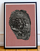 plakaty Plakat Hidden Beauty 2