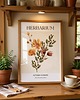 grafiki i ilustracje PLAKAT herbarium kwiaty jesienne 2