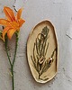 pojemniki na biżuterię Patera Ceramiczna Zielnik 2