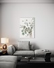 grafiki i ilustracje Eucalyptus print 2