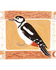 grafiki i ilustracje Print Dzięcioł duży 18x24 cm 2