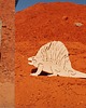 klocki i zabawki drewniane Stegosaurus 2