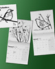 kalendarze i plannery Ptasi kalendarz 2024 30x30 cm 1