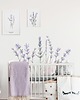 plakaty PLAKAT LAWENDA P180 1