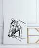 grafiki i ilustracje PLAKAT z koniem, koń rysunek, szkic konia, 7