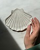 pojemniki na biżuterię Ceramiczna Płaska Muszla Pearl White 7