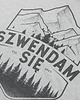 t-shirty męskie Koszulka męska SZWENDAM SIĘ/GÓRY szara 1