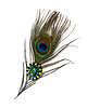 broszki Broszka Pawie pióro 1
