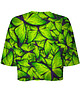t-shirt damskie DR.CROW T-shirt Krótki CROP Motyle Green 1