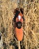 zabawki - inne Hobby horse A3 gniady koń na kiju 6