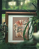 grafiki i ilustracje Ilustracja PLANT LAND 1