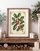 grafiki i ilustracje PLAKAT świąteczny ostrokrzew vintage grafika dekoracja 5