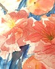 obrazy Akwarela Nektarynki na tafli wody oryginalny obraz 300g 23x30 cm 6