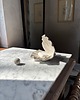 pojemniki na biżuterię Perłowa muszla na biżuterię ceramiczna podstawka muszelka handmade 6