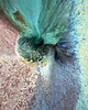 patery i talerze Fasolka *Nebula* ok.27cm 4