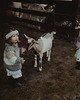 swetry dla dziewczynki Sweter Jane Mini 7