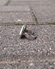 pierścionki - różne Skrawki kolorów - pierścionek regulowany 1