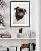 plakaty Plakat z Mopsem PORTRET pieska PUG 1