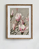 plakaty Plakat Magnolia 1