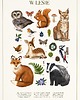 plakaty Plakat "W LESIE" 40x50 cm 2