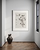 plakaty Ginkgo biloba, print 1