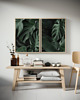 fotografia DWA PLAKATY galeria botaniczne monstera 1