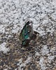 pierścionki - różne Duży listek - pierścionek regulowany 3