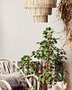 lampy wiszące Lampa Babel mała boho średnica 50cm 3