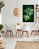 obrazy Obraz na płótnie ROŚLINKA MONSTERA 70x100cm 2