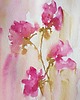 obrazy Akwarela Kwiaty oryginalny obraz A5 21x15 cm 2
