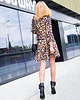 sukienki mini damskie Sukienka Wild Cat 6