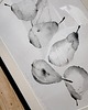 grafiki i ilustracje Gruszki  / Art print 1