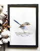 obrazy Akwarela strzyżyk 1