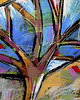 plakaty Zanim - plakat 70x50 cm 2