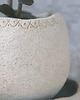 doniczki Doniczka ceramiczna 1