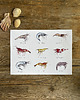 grafiki i ilustracje Krewetki- Prawns- Grafika- Ilustracja- Plakat 1
