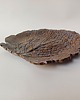 patery i talerze Ceramiczny czarny talerz liść 1