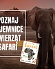 gry edukacyjne dla dzieci Karty SAFARI - zwierzęta Afryki 7
