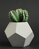 doniczki Doniczka betonowa Dodekahedron 1 3
